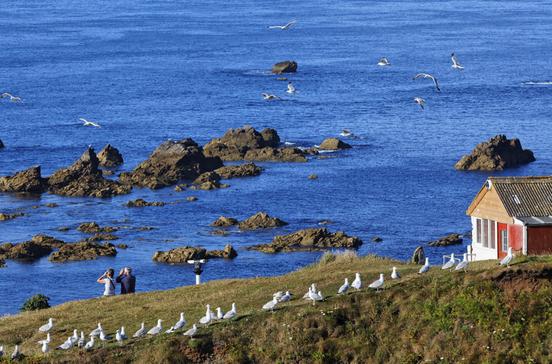 Lizard Point Lizard Point