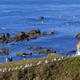 Lizard Point
