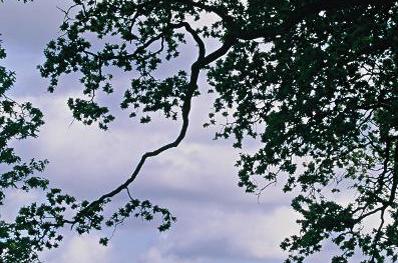 Malahide Castle And Gardens Malahide Castle And Gardens