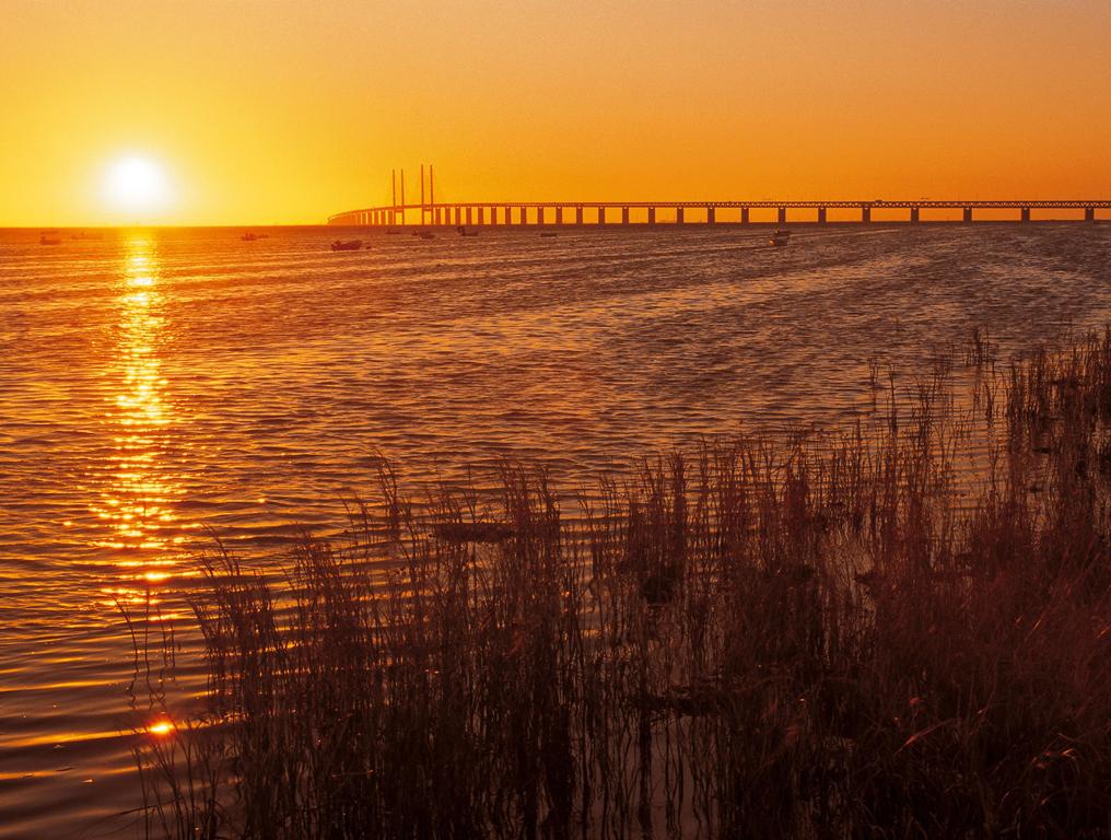 Öresundsbron