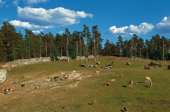 Kolmården Kolmården