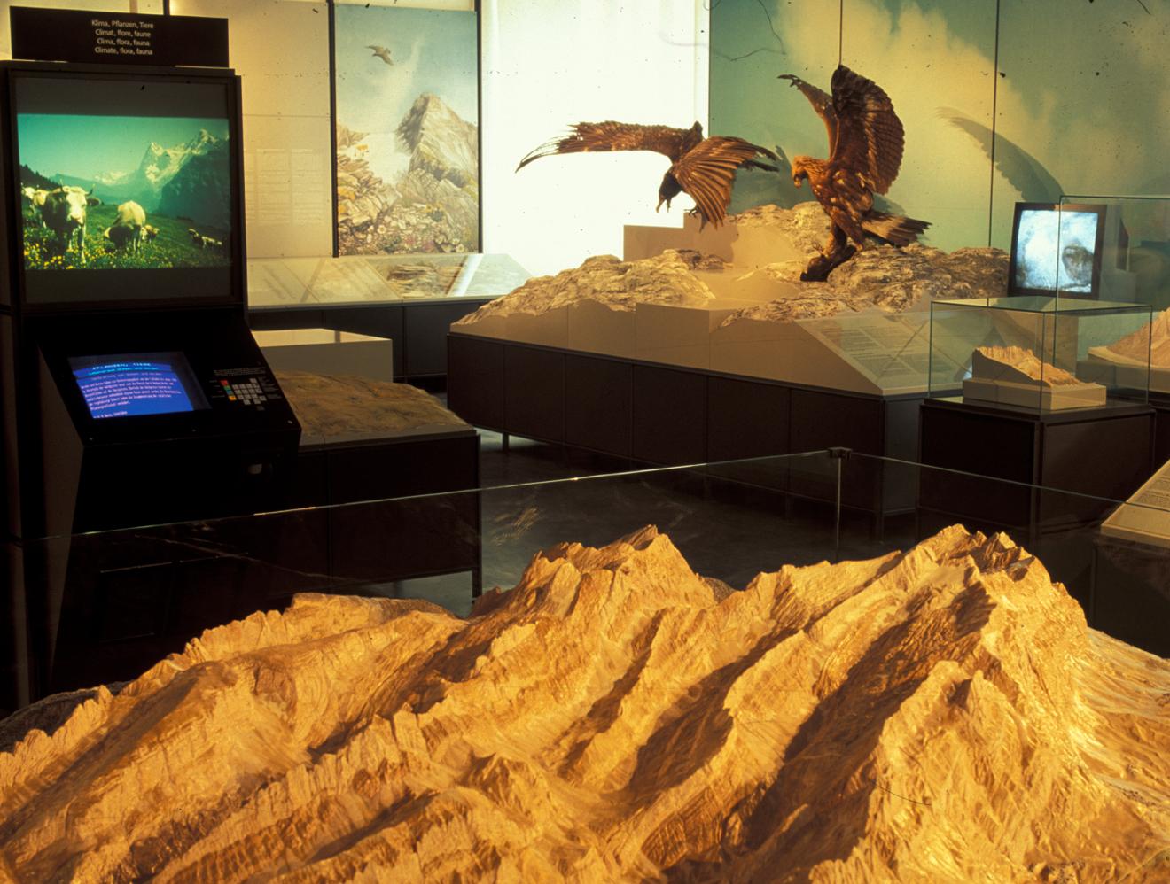 Schweizerisches Alpines Museum