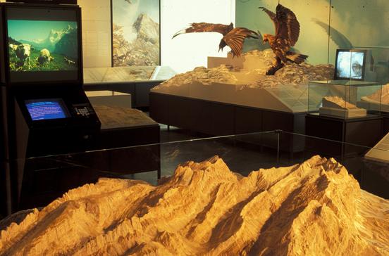 Schweizerisches Alpines Museum Schweizerisches Alpines Museum