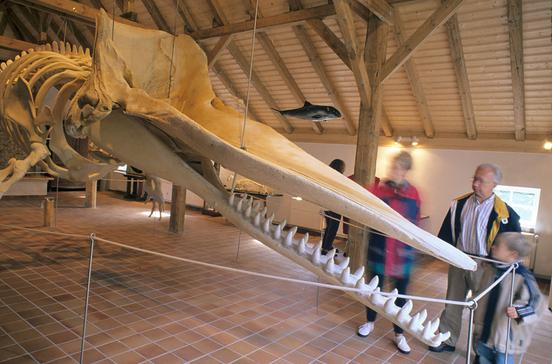 Heimatmuseum Diekhuus Heimatmuseum Diekhuus