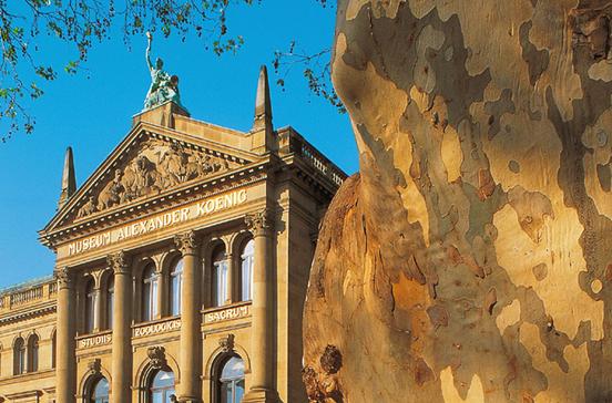 Museum Alexander König Museum Alexander König