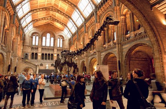 Natural History Museum Natural History Museum