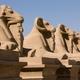 Avenue of Sphinxes