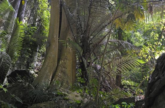 Chaloem Rattanakosin National Park Chaloem Rattanakosin National Park