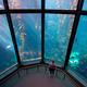 Monterey Bay Aquarium