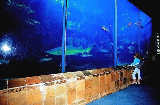 Two Oceans Aquarium Two Oceans Aquarium