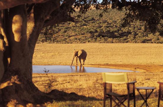 Addo Elephant National Park Addo Elephant National Park