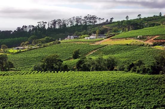 Groot Constantia Groot Constantia