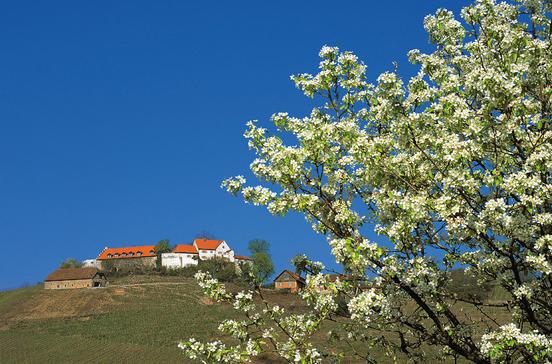 Schloss Staufenberg Schloss Staufenberg