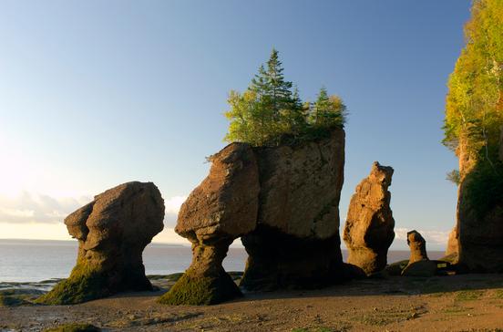 Hopewell Rocks Hopewell Rocks