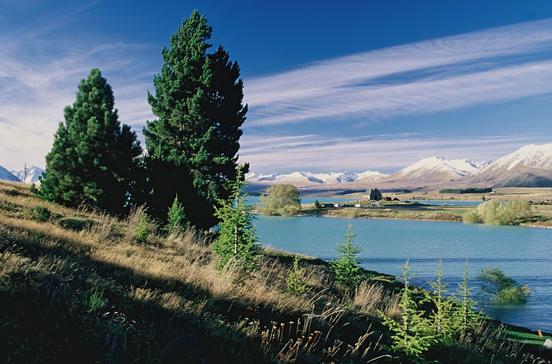 Lake Tekapo Lake Tekapo