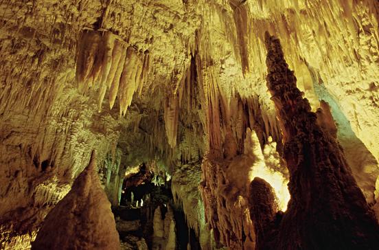 Waitomo Glowworm Caves Waitomo Glowworm Caves