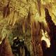 Waitomo Glowworm Caves