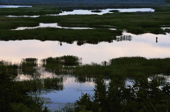 Priroden Rezervat Srebarna Priroden Rezervat Srebarna