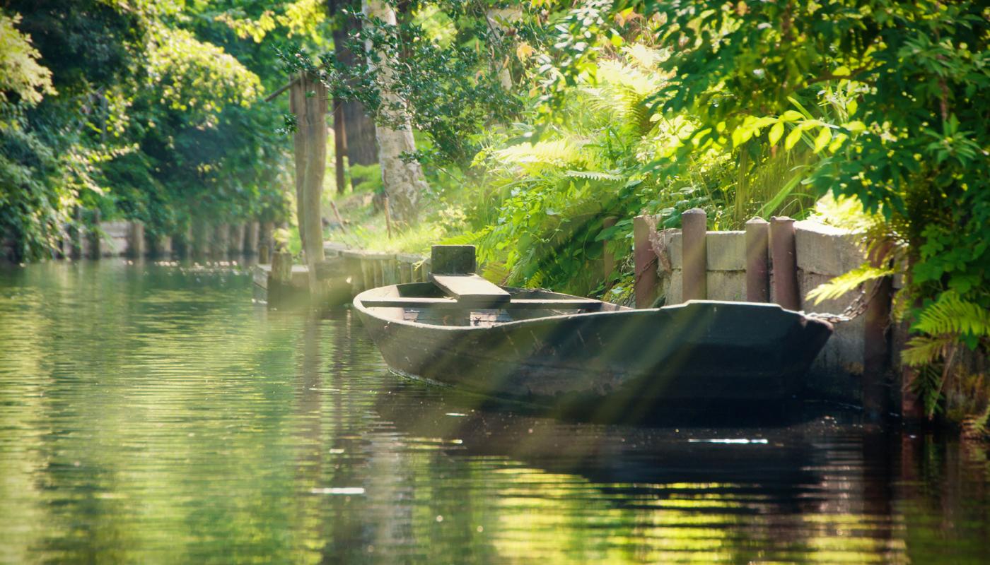 Manche bezeichnen den Spreewald auch als den Amazonas von Deutschland