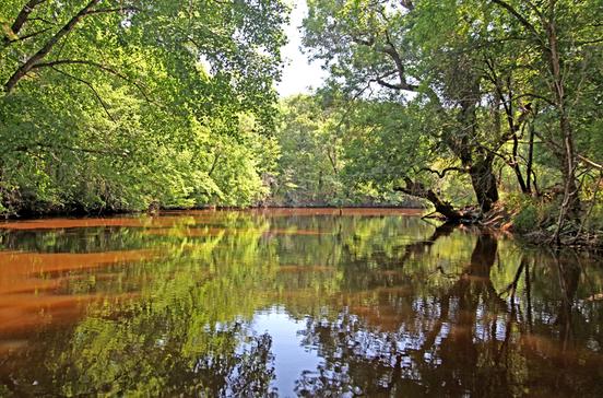 Naroden Park Ropotamo Naroden Park Ropotamo