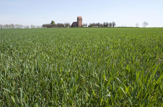 Hohe Kirche Hohe Kirche
