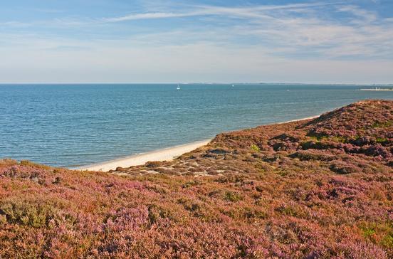 Naturschutzgebiet Braderuper Heide Naturschutzgebiet Braderuper Heide