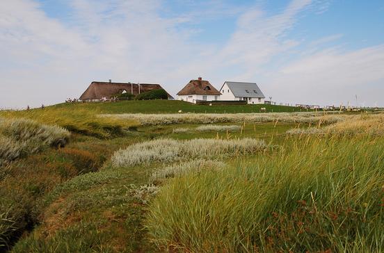 Hamburger Hallig Hamburger Hallig