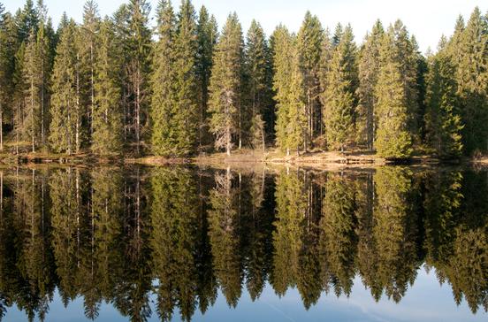 Mathisleweiher Mathisleweiher