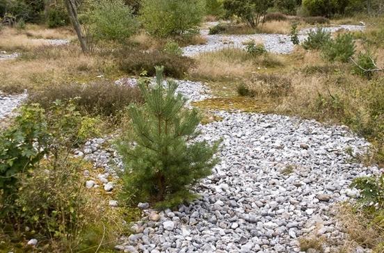 Feuersteinfelder Feuersteinfelder