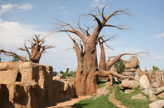 Bioparc València Bioparc València