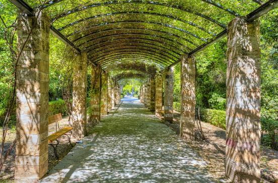 Ethnikós Kípos Ethnikós Kípos