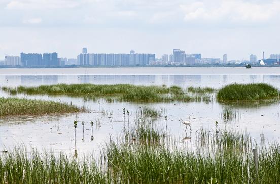 Mai Po Nature Reserve Mai Po Nature Reserve