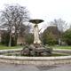 Iveagh Gardens
