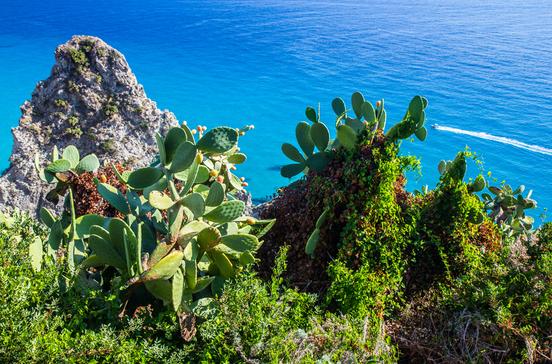 Capo Vaticano Capo Vaticano