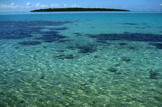Île aux Aigrettes Nature Reserve Île aux Aigrettes Nature Reserve