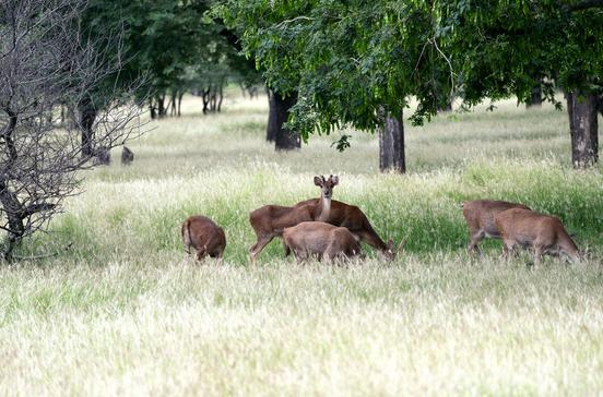 Casela Nature & Leisure Park Casela Nature & Leisure Park