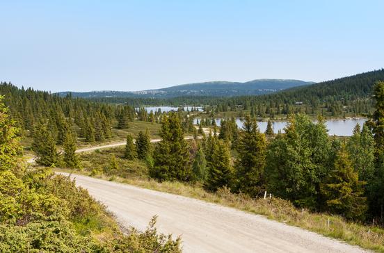 Peer-Gynt-veien Peer-Gynt-veien