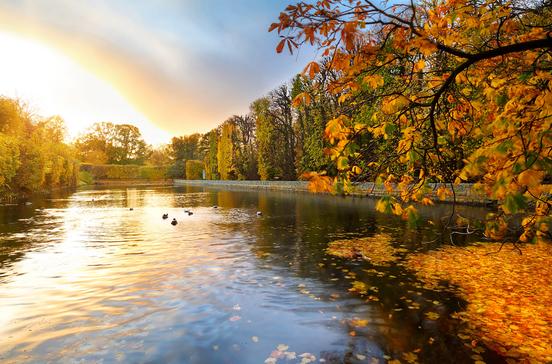 Oliwski-Park Oliwski-Park