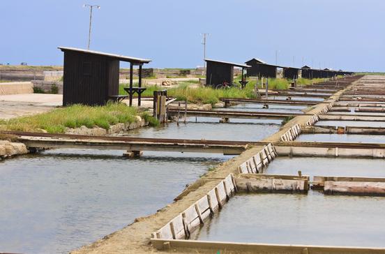 Sečoveljske soline Sečoveljske soline