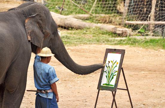 Thai Elephant Conservation Center Thai Elephant Conservation Center