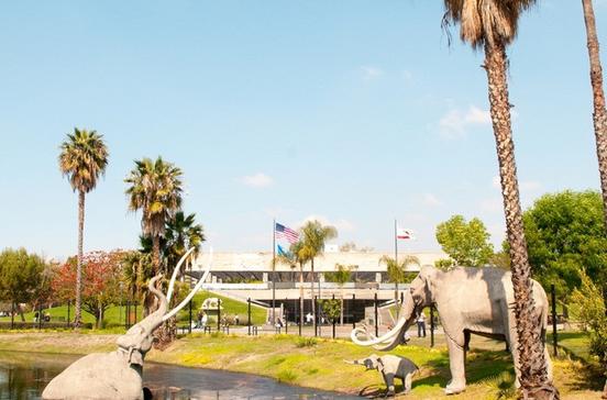 La Brea Tar Pits La Brea Tar Pits