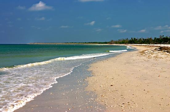 Cayo Costa Cayo Costa