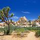 Joshua Tree National Park