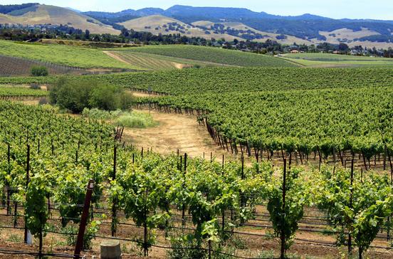 Edna Valley Edna Valley