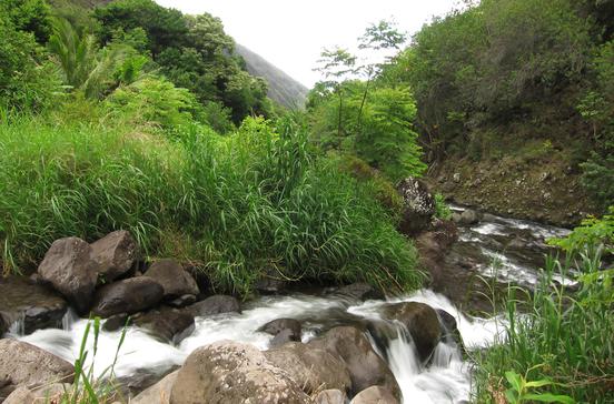 Iao Valley Iao Valley