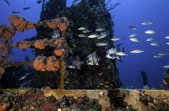 John Pennekamp State Park John Pennekamp State Park