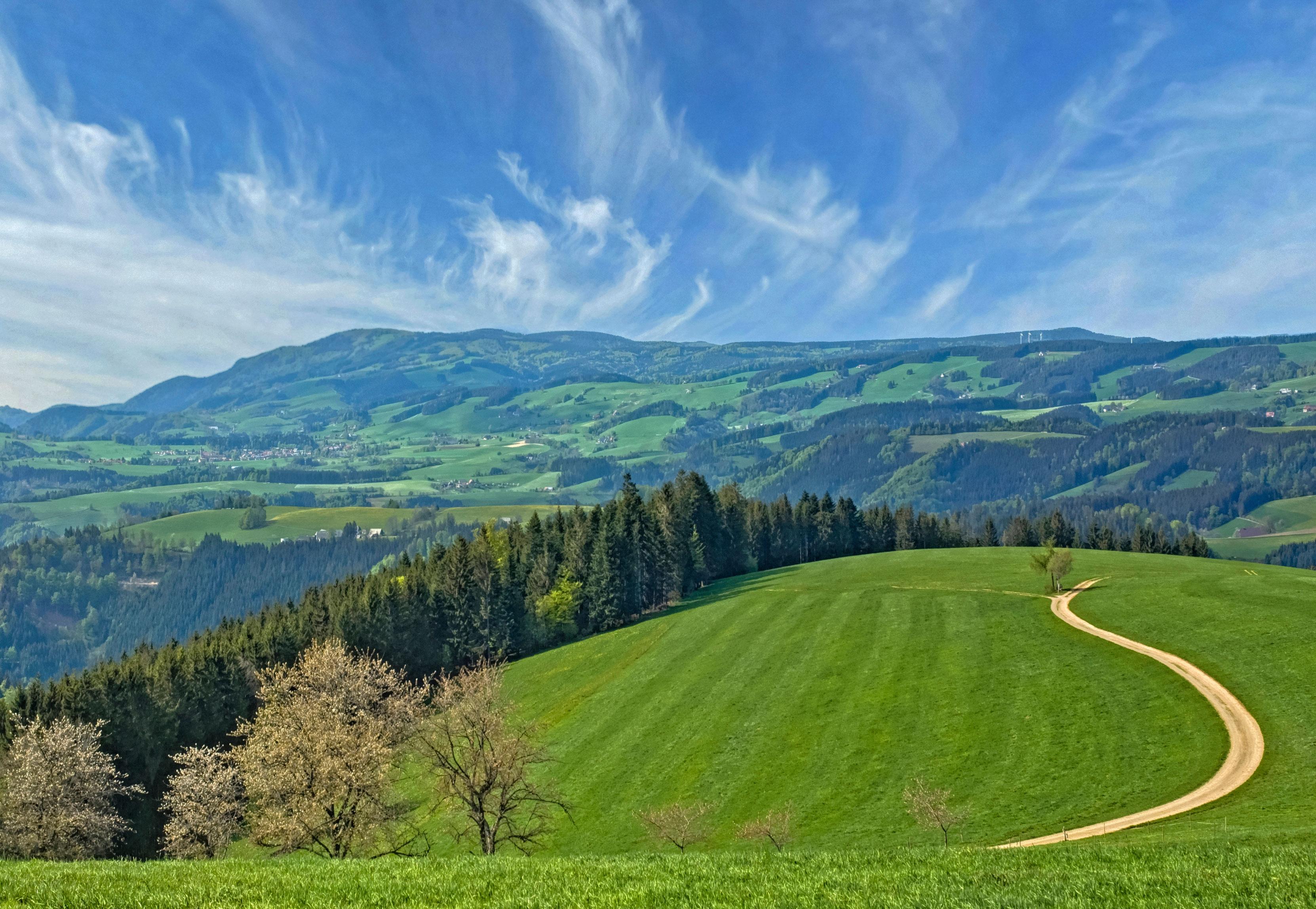 Der Schwarzwald gilt als eine der beliebtesten Motorrad-Routen Deutschlands