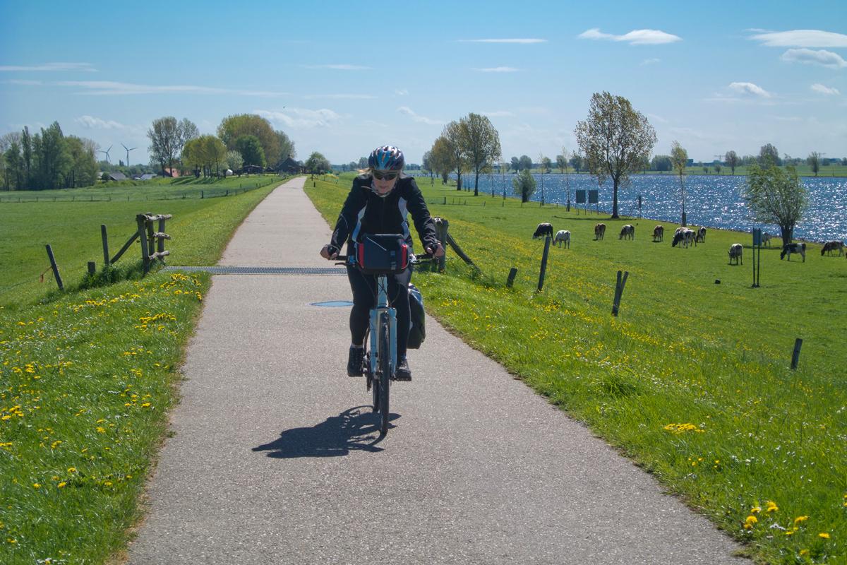 Bloss nicht: Radfahrer ignorieren
