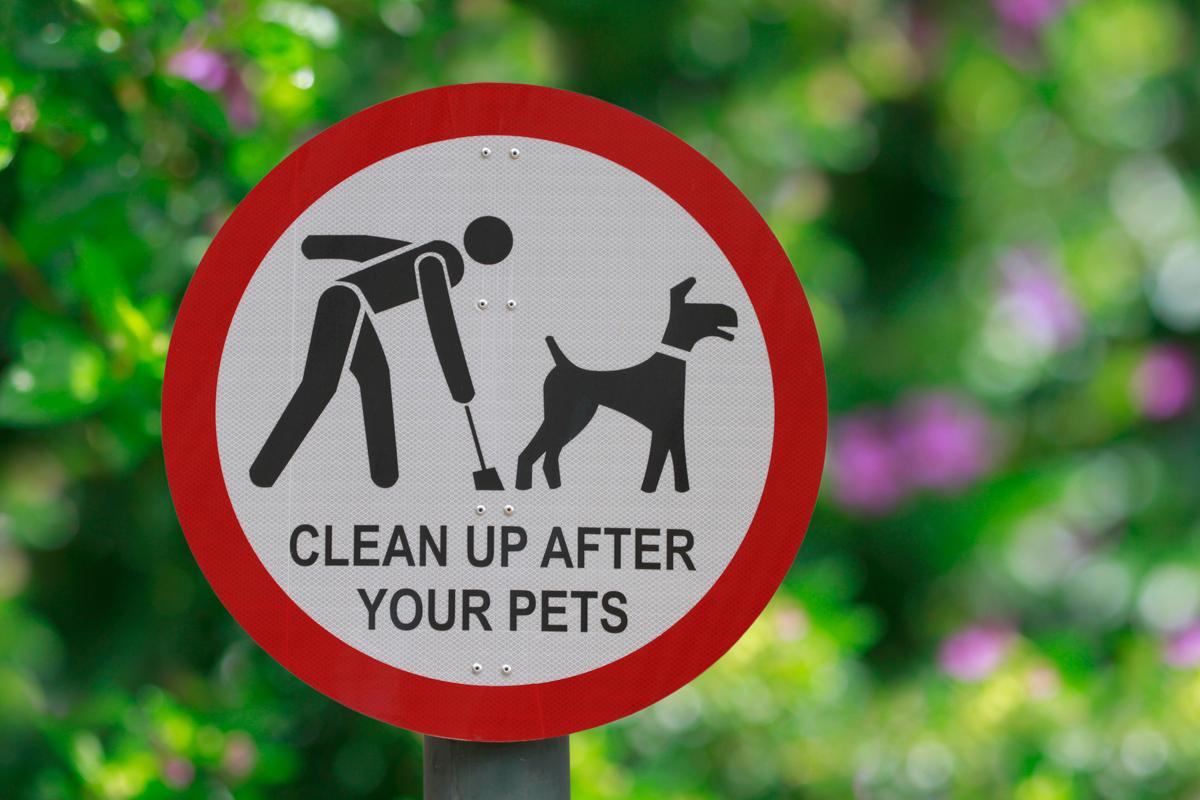 Bloss nicht: Hundekot liegen lassen