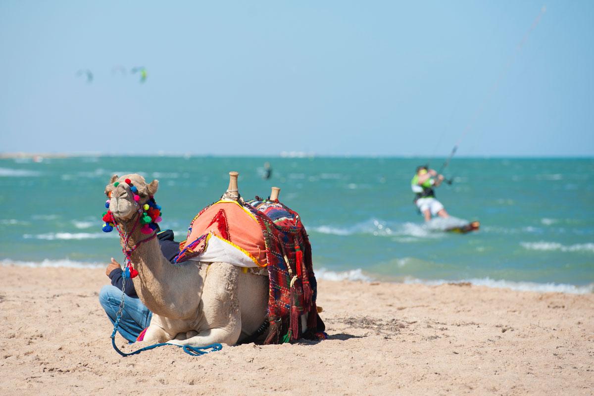 In Ägypten sollte mit nackter Haut gegeizt werden